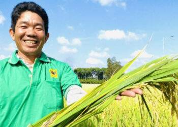Hậu Giang xây dựng nông nghiệp hiện đại, nâng cao thu nhập cho nhà nông