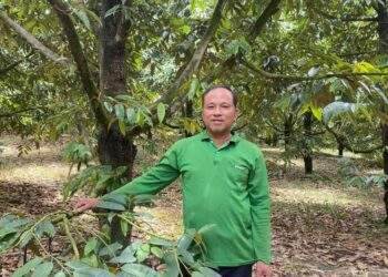 Hơn 20 năm trồng sầu riêng và làm giàu với quy trình Hợp Trí Summit