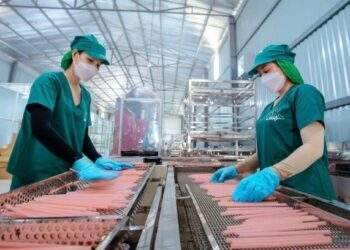 How might Vietnam's exports to US fare under Trump or Harris presidency?
