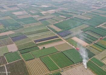 I likely won’t inherit $158,000 land plot until I turn 60