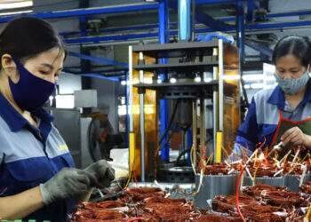 Lạng Sơn tạo dựng môi trường đầu tư kinh doanh thông thoáng