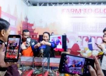 Livestream sẽ là tâm điểm của Online Friday 2024