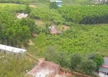 Muốn sản xuất lớn phải tích tụ đất đai