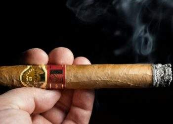 Người hút xì gà sẽ phải trả thuế tối đa 100.000 đồng/điếu