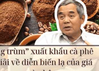“Ông trùm” xuất khẩu cà phê lý giải về diễn biến lạ của giá cà phê