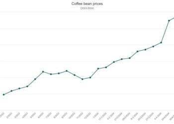 Plentiful harvest drives coffee prices down by 20%