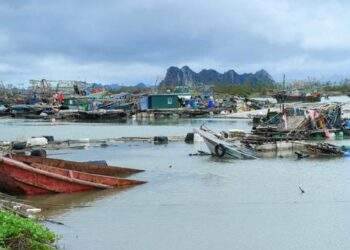 Quảng Ninh khôi phục nuôi trồng thủy hải sản sau siêu bão