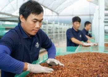 Thương hiệu cà phê hữu cơ L’amant Café đạt Thương hiệu quốc gia 2024