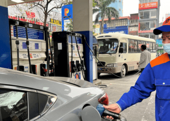 Tiếp đà tăng giá, thị trường nhiều biến động