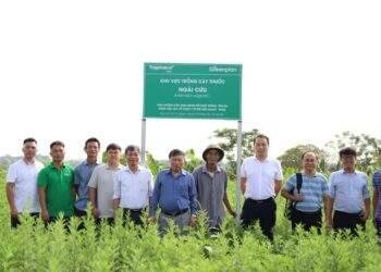 Traphaco tiếp tục thành công với Đông dược cao cấp và Tân dược chất lượng cao