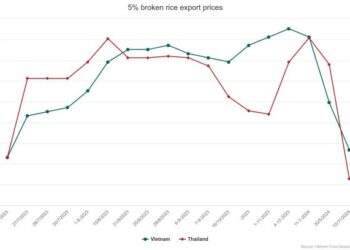 Vietnam’s rice export prices remain highest worldwide