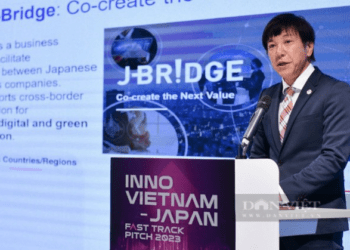 Vingroup, FPT, MoMo cùng ba "ông lớn" Nhật Bản mở ra cơ hội kiếm tiền cho start up từ các bài toán khó