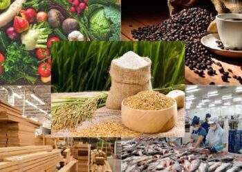 Xuất khẩu nông lâm thuỷ sản sắp hoàn thành mục tiêu dù chưa hết năm