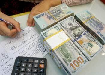Dollar slips against dong - VnExpress International