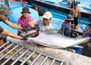 Agro-forestry-fisheries exports top $62B in 2024