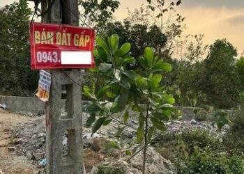 Bất động sản thời bị "ép giá", chủ đất bức xúc treo biển "đất hạ giá thì lên mạng mà mua"