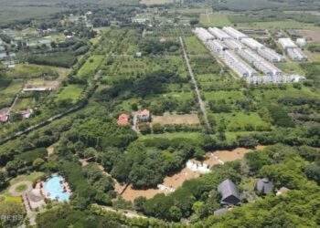 CEO of Giang Dien Tourism company arrested for defrauding 1,200 land buyers