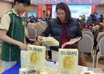Các dự án khởi nghiệp của Việt Nam kỳ vọng sẽ mang đến những bước tiến lớn trên trường quốc tế