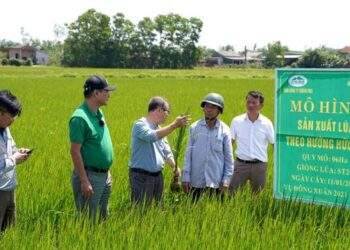 Chuyển đổi nông nghiệp sinh thái để giảm phát thải khí nhà kính