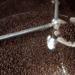 Coffee exports to hit record $5.6B this year