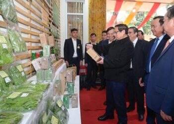 Đặt mục tiêu đưa kim ngạch xuất khẩu nông lâm thuỷ sản năm 2025 lên 70 tỷ USD