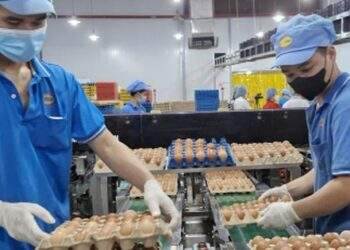 Doanh nghiệp TP.HCM tất bật lo hàng Tết, dồn lực chờ bùng nổ mua bán tháng Chạp