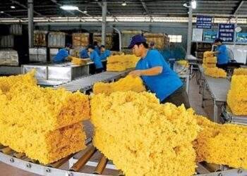 Giá trị xuất khẩu cao su tăng trên 17%, Trung Quốc vẫn là thị trường tiêu thụ lớn nhất của Việt Nam