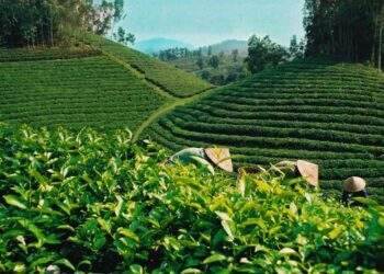 Không xanh hoá nhanh, doanh nghiệp có thể bị loại khỏi chuỗi cung ứng