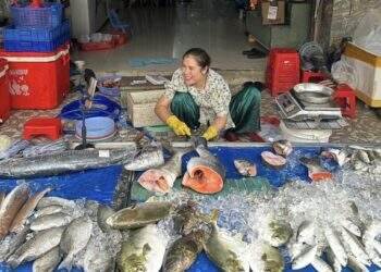 Live streaming makes small vendors online sensations
