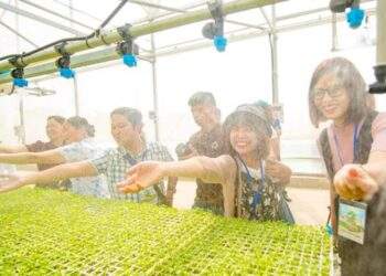 Masan: Kiên định xây dựng nền tảng kinh doanh bền vững