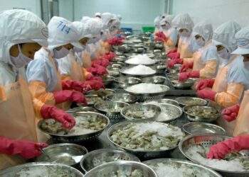 Năm 2024, xuất nhập khẩu của Việt Nam vượt 800 tỷ USD, nhưng xuất siêu chỉ 25 tỷ USD