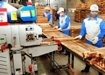 Ngành gỗ Việt Nam và Trung Quốc hợp tác xây dựng chuỗi cung ứng sản phẩm gỗ bền vững