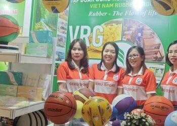 Những cơ sở để ngành cao su mang về 11 tỉ USD năm sau