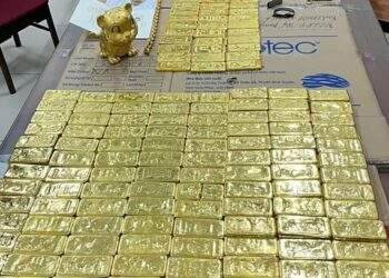 Police seize $205M from TikToker Mr Pips amid fraud investigation
