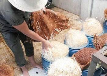 Retailer Bach Hoa Xanh recalls mung bean sprouts containing hazardous substance
