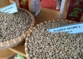Robusta tiếp tục giảm nhưng Arabica tăng