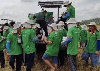 Tập đoàn Lộc Trời bị Tổng cục thuế truy thu hơn 5 tỉ đồng