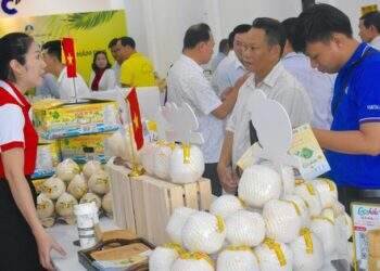 Thị trường Trung Quốc "hút hàng", nhà máy dừa trong nước lại gặp nghịch cảnh