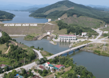 Ưu tiên sử dụng vốn ODA vào hạ tầng nông thôn, phòng chống thiên tai, tái tạo rừng