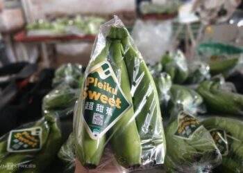 Vietnam becomes top banana supplier to China