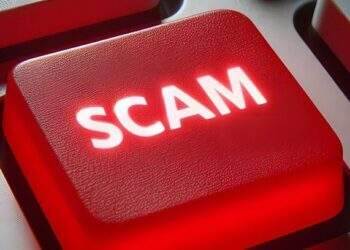 Vietnamese lose $744M to online scams in 2024