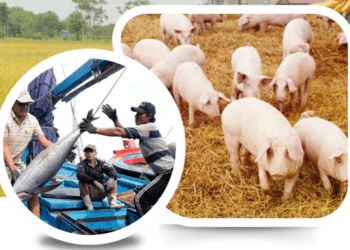 Xuất khẩu nông lâm thuỷ sản đã lập kỷ lục 56,7 tỷ USD