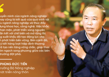 Xuất khẩu nông, lâm, thủy sản điểm sáng rực rỡ của ngành nông nghiệp