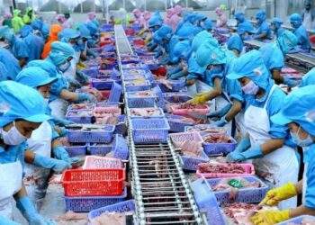 Xuất khẩu thuỷ sản cán đích 10 tỷ USD