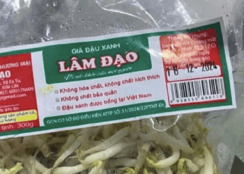Yêu cầu truy xuất triệu hồi hàng nghìn tấn giá đỗ ngâm chất độc gây dị dạng