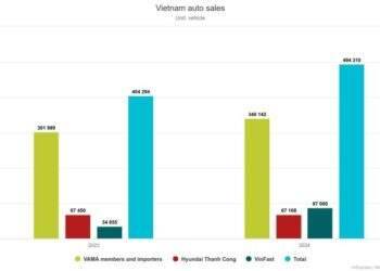 Auto sales rise by 22% in 2024