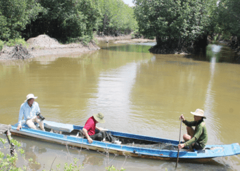 Bán tín chỉ carbon, nông dân giàu lên