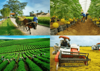 Bộ trưởng Lê Minh Hoan và niềm trăn trở về nông thôn mới