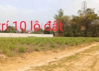 “Chỉ 120 triệu đồng/lô, sổ đỏ đầy đủ, rẻ hơn 1/3 giá của Shark Thuỷ”