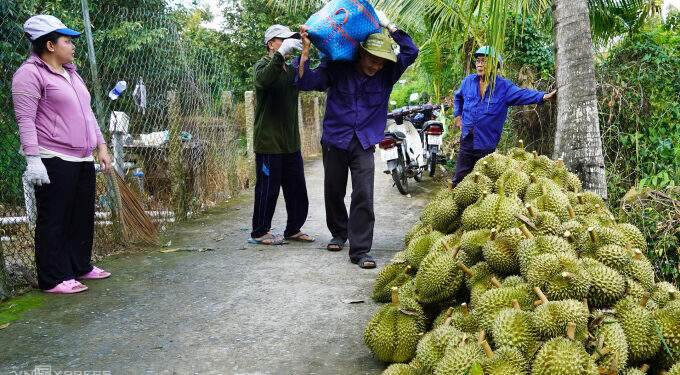 China imports 50% more durian from Vietnam
